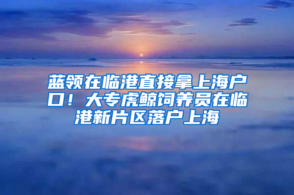 蓝领在临港直接拿上海户口！大专虎鲸饲养员在临港新片区落户上海