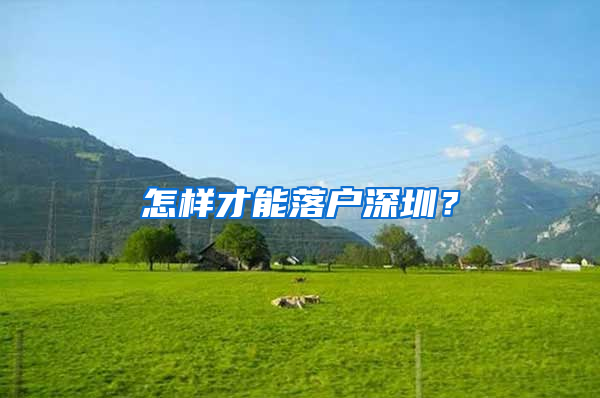 怎样才能落户深圳？