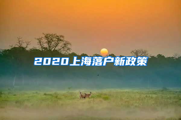 2020上海落户新政策