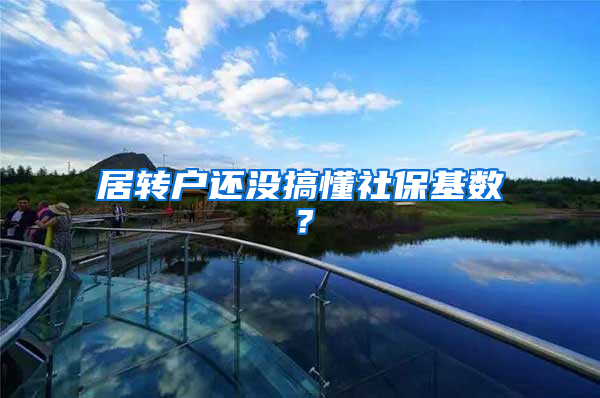 居转户还没搞懂社保基数？