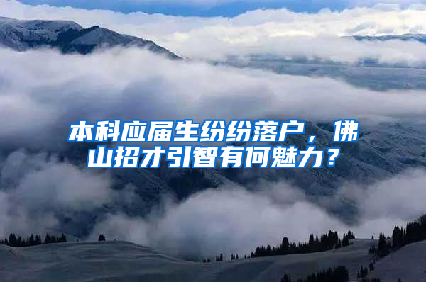 本科应届生纷纷落户，佛山招才引智有何魅力？