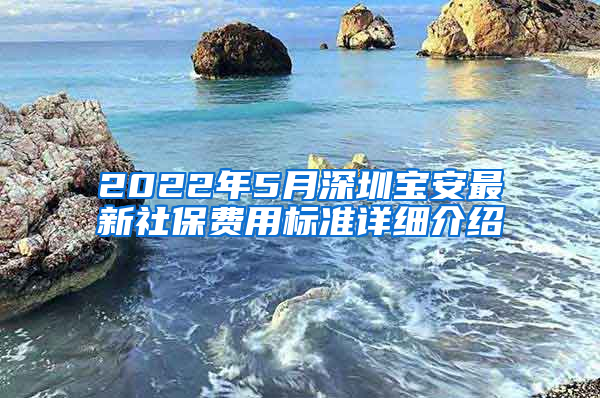 2022年5月深圳宝安最新社保费用标准详细介绍