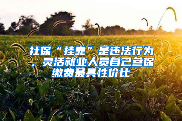 社保“挂靠”是违法行为，灵活就业人员自己参保缴费最具性价比