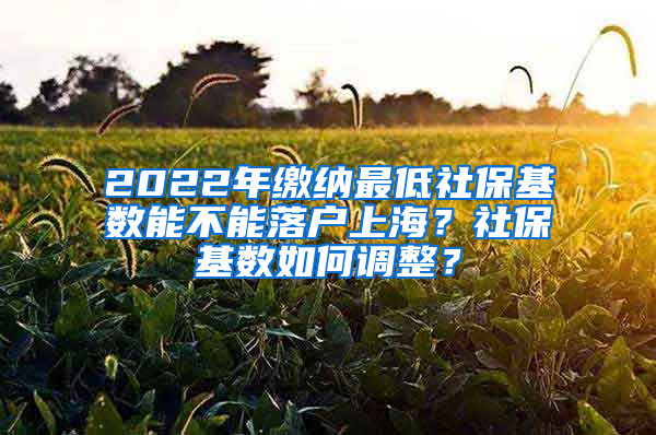 2022年缴纳最低社保基数能不能落户上海？社保基数如何调整？