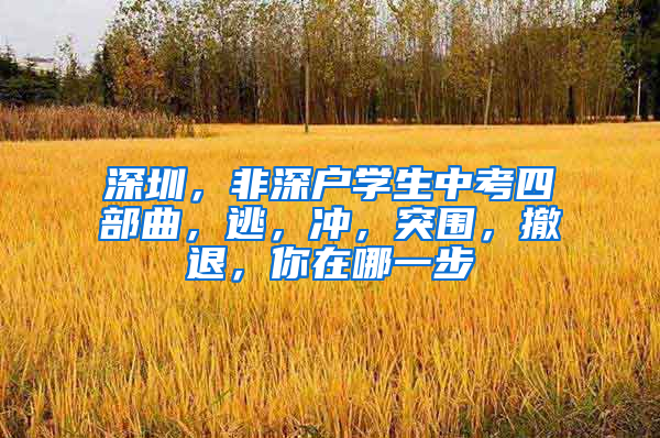 深圳，非深户学生中考四部曲，逃，冲，突围，撤退，你在哪一步