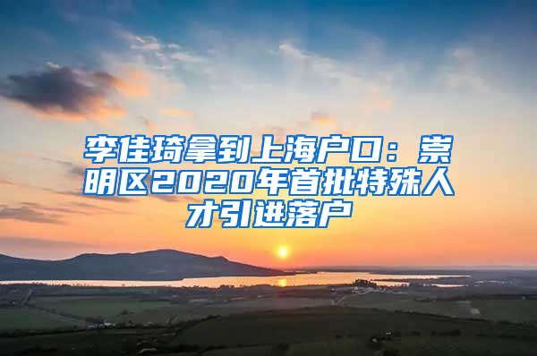 李佳琦拿到上海户口：崇明区2020年首批特殊人才引进落户