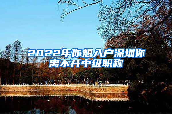 2022年你想入户深圳你离不开中级职称