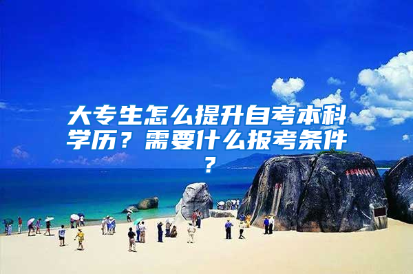 大专生怎么提升自考本科学历？需要什么报考条件？