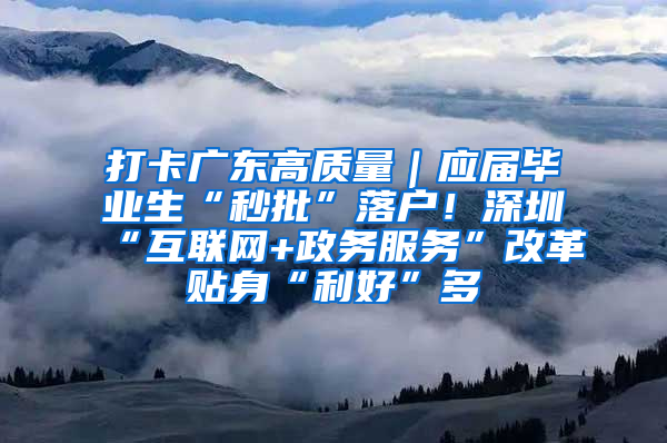 打卡广东高质量｜应届毕业生“秒批”落户！深圳“互联网+政务服务”改革贴身“利好”多