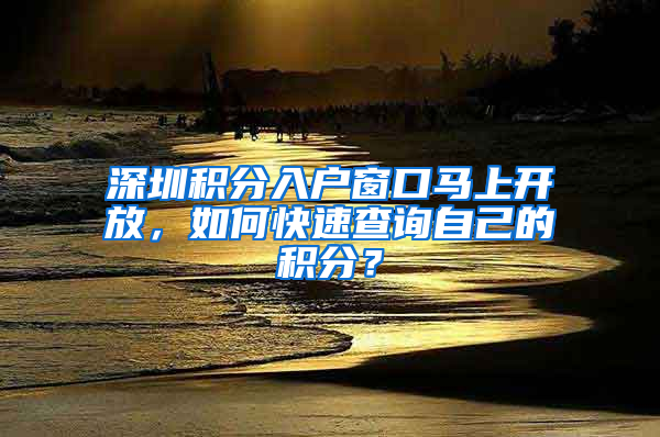 深圳积分入户窗口马上开放，如何快速查询自己的积分？