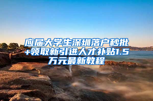 应届大学生深圳落户秒批+领取新引进人才补贴1.5万元最新教程