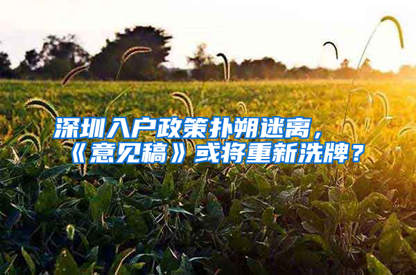 深圳入户政策扑朔迷离，《意见稿》或将重新洗牌？