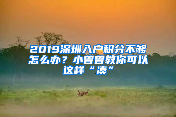 2019深圳入户积分不够怎么办？小曾曾教你可以这样“凑”