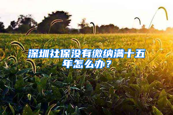 深圳社保没有缴纳满十五年怎么办？