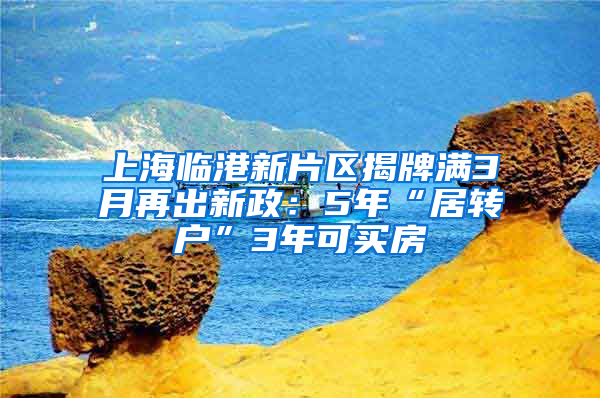 上海临港新片区揭牌满3月再出新政：5年“居转户”3年可买房