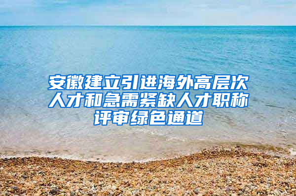 安徽建立引进海外高层次人才和急需紧缺人才职称评审绿色通道