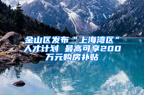 金山区发布“上海湾区”人才计划 最高可享200万元购房补贴