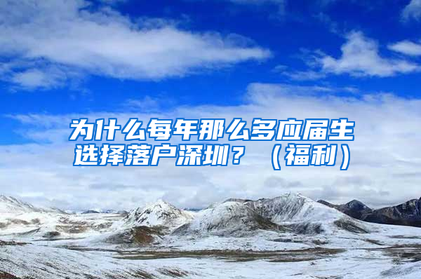 为什么每年那么多应届生选择落户深圳？（福利）