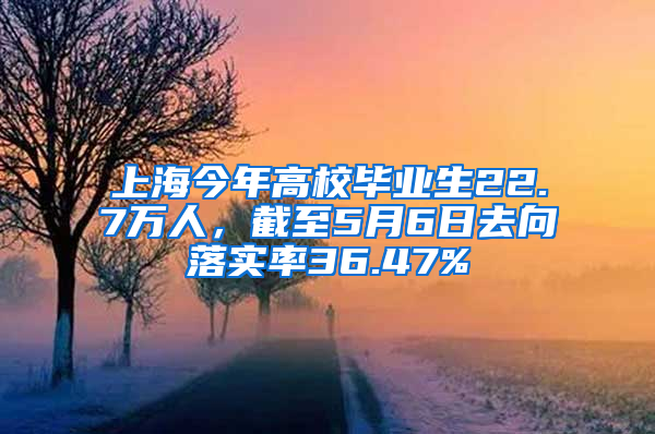 上海今年高校毕业生22.7万人，截至5月6日去向落实率36.47%