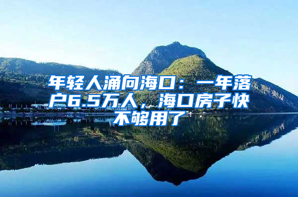 年轻人涌向海口：一年落户6.5万人，海口房子快不够用了