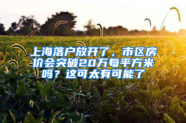 上海落户放开了，市区房价会突破20万每平方米吗？这可太有可能了