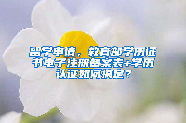 留学申请，教育部学历证书电子注册备案表+学历认证如何搞定？