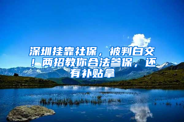 深圳挂靠社保，被判白交！两招教你合法参保，还有补贴拿