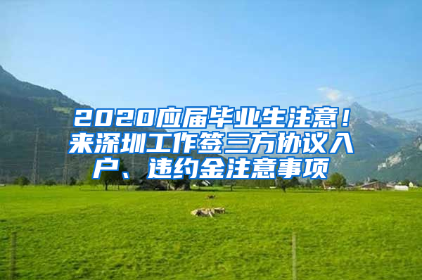 2020应届毕业生注意！来深圳工作签三方协议入户、违约金注意事项