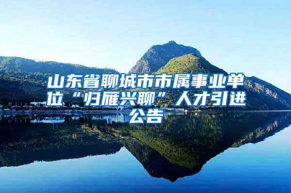 山东省聊城市市属事业单位“归雁兴聊”人才引进公告