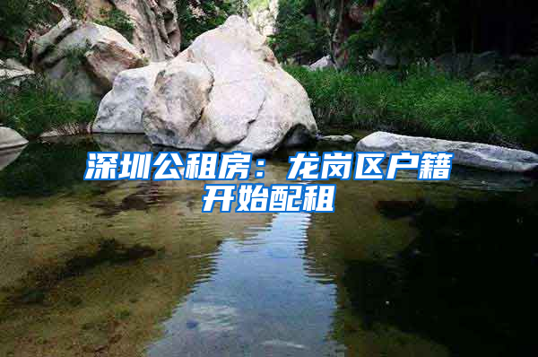 深圳公租房：龙岗区户籍开始配租