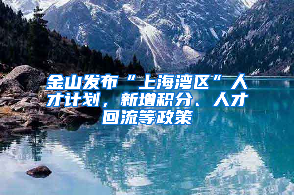 金山发布“上海湾区”人才计划，新增积分、人才回流等政策