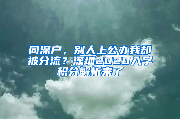 同深户，别人上公办我却被分流？深圳2020入学积分解析来了