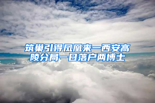 筑巢引得凤凰来一西安高陵分局一日落户两博士