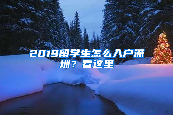 2019留学生怎么入户深圳？看这里