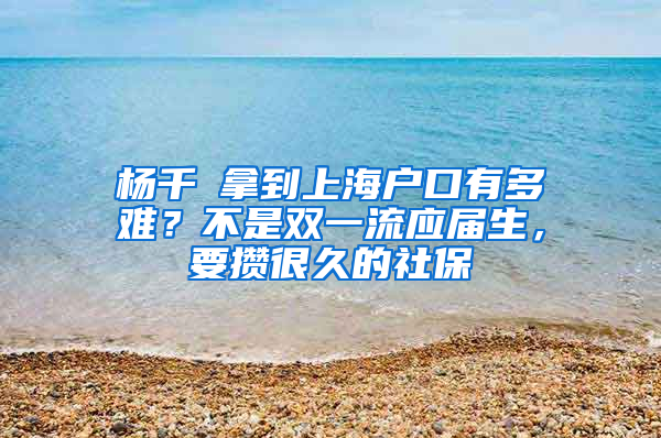 杨千嬅拿到上海户口有多难？不是双一流应届生，要攒很久的社保