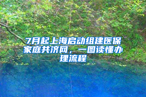 7月起上海启动组建医保家庭共济网，一图读懂办理流程