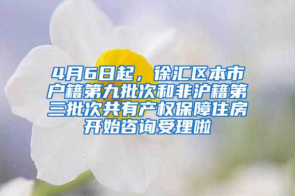 4月6日起，徐汇区本市户籍第九批次和非沪籍第三批次共有产权保障住房开始咨询受理啦