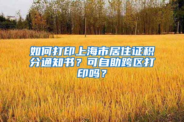 如何打印上海市居住证积分通知书？可自助跨区打印吗？