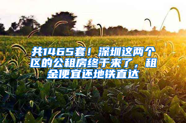 共1465套！深圳这两个区的公租房终于来了，租金便宜还地铁直达