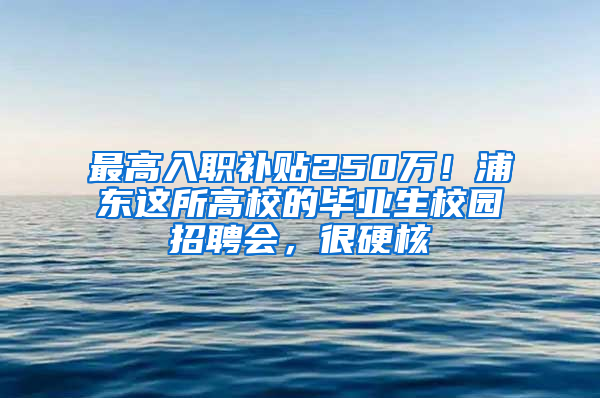 最高入职补贴250万！浦东这所高校的毕业生校园招聘会，很硬核