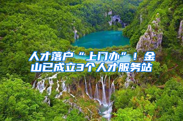 人才落户“上门办”！金山已成立3个人才服务站