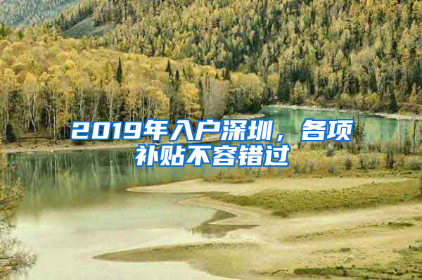 2019年入户深圳，各项补贴不容错过