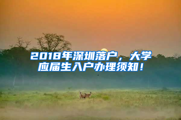 2018年深圳落户，大学应届生入户办理须知！