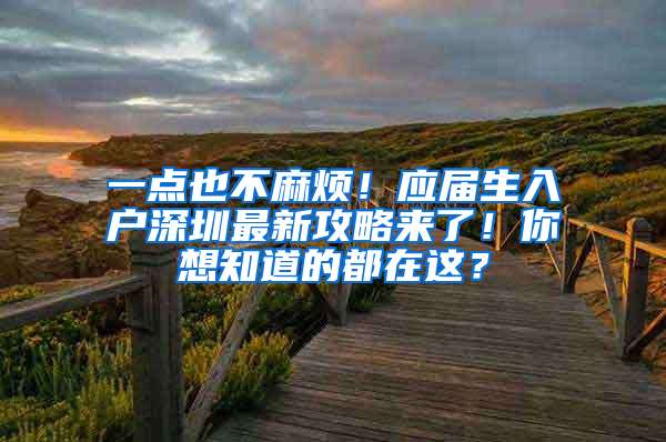 一点也不麻烦！应届生入户深圳最新攻略来了！你想知道的都在这？