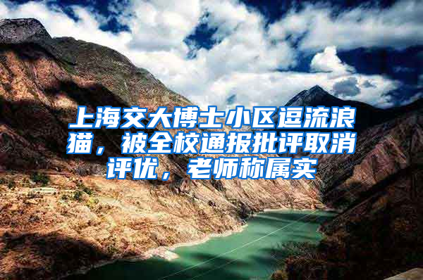 上海交大博士小区逗流浪猫，被全校通报批评取消评优，老师称属实