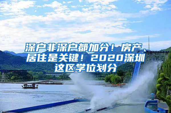 深户非深户都加分！房产、居住是关键！2020深圳这区学位划分