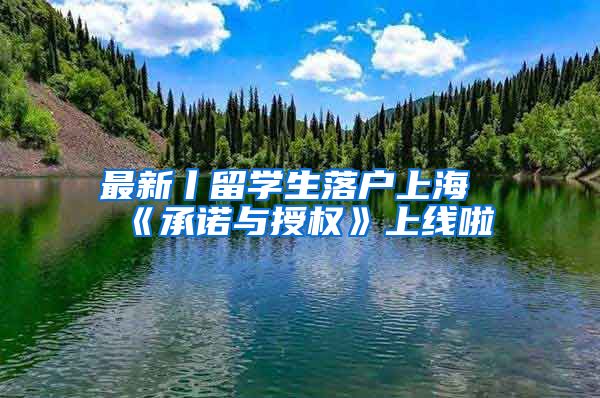 最新丨留学生落户上海《承诺与授权》上线啦