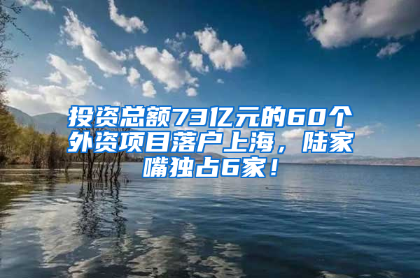 投资总额73亿元的60个外资项目落户上海，陆家嘴独占6家！