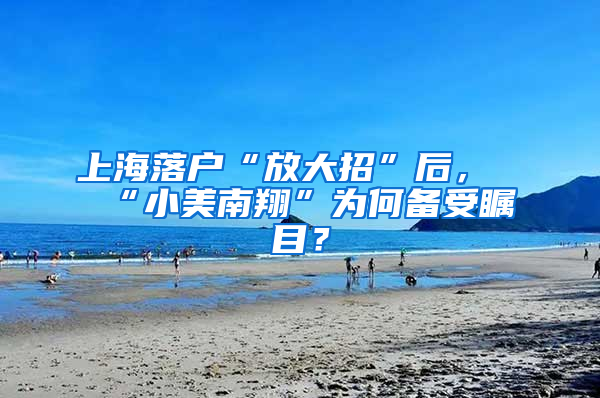 上海落户“放大招”后，“小美南翔”为何备受瞩目？