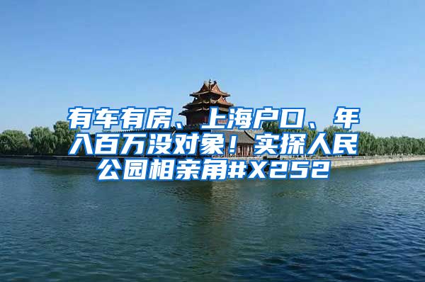 有车有房、上海户口、年入百万没对象！实探人民公园相亲角#X252